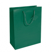 Geschenktasche GT500, allgemein, Kunststoffkordel mit Geschenkanhänger, 26cm x 33cm