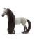 Horse Club Sofia's Beauties 42584 Sofia und Dusty Spielfiguren-Set