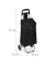 Einkaufstrolley 10029467_46, max. BeLiterastbarkeit bis ca. 10kg # Schloss, außen 30x40x91cm, Stahl, Stoff schwarz