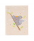 Babytagebuch 11 480, Koala, 21x28cm (BxH), 44 Seiten