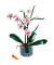 Icons 10311 Orchidee Bausatz