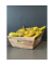 Obstkorb Birnen 4 KG im Korb