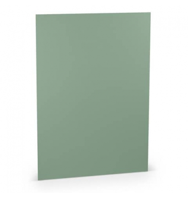 Motivpapier Paperado 1103001067, eucalyptus, A4, 100g