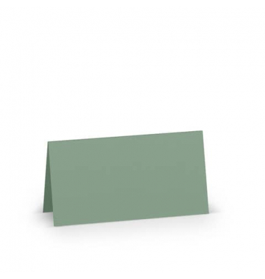 1103030067 Tischkarte Paperado Eucalytpus 10x10cm 5 Stück