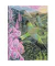 Notizbuch FTNB266, FLAME TREE, mehrfarbig, A5, liniert, 80g, 88 Blatt / 176 Seiten