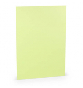 Briefpapier 16400152, pistache, A4, 100g