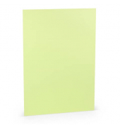 Blanko-Gru&szlig;karten 16401252 220g pistache Karton