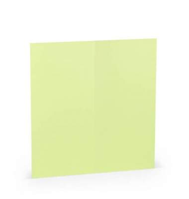 Blanko-Grußkarten 16406952 DIN lang 100mm x 210mm (BxH) 220g pistache