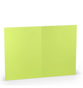Blanko-Grußkarten 16407122 A5 148mm x 210mm (BxH) 220g planliegend maigrün