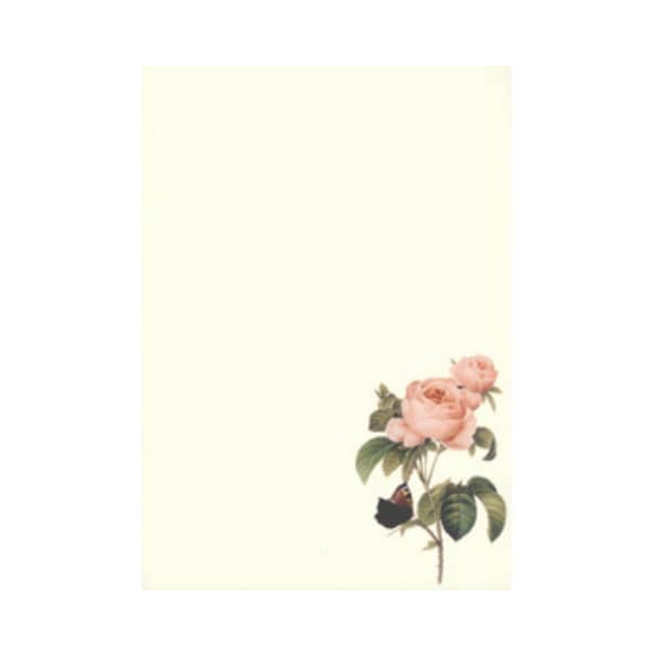50 Stück Rössler Briefpapier 1643524800, Rose, A4, 100g 4014969247679 Rössler