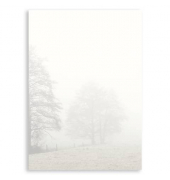 Motivpapier 1643032800, Bäume im Nebel Trauer, A4, 100g