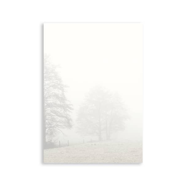 50 Stück Rössler Briefpapier 1643032800, Bäume im Nebel Trauer, A4, 100g 4014969251423 Rössler