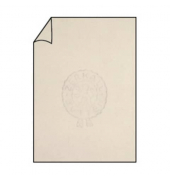FINE PAPER 164501201