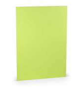 Briefpapier 1103012022, maigrün, 220g