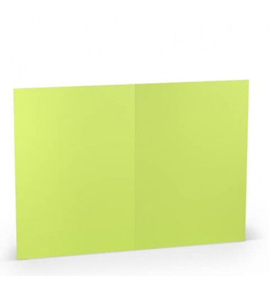 Blanko-Grußkarten 1103071022 A5 148mm x 210mm (BxH) 220g planliegend maigrün