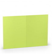 Blanko-Grußkarten 1103072022 DIN B6  Hoch doppelt 240mm x 169mm (BxH) 220g planliegend maigrün