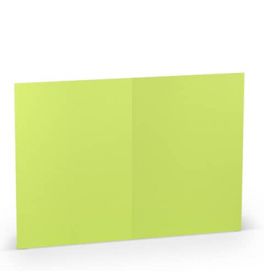 Blanko-Gru&szlig;karten 1103072022 DIN B6  Hoch doppelt 24cm x 169mm (BxH) 220g planliegend maigr&uuml;n