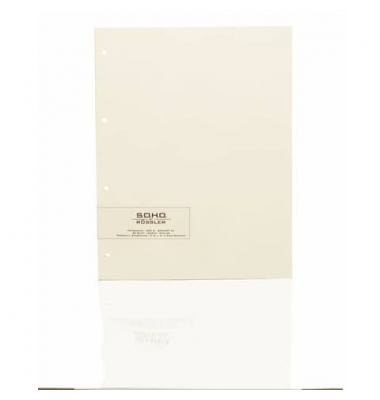 Fotokarton 1321000008 gelocht, chamois, 23x29cm, 