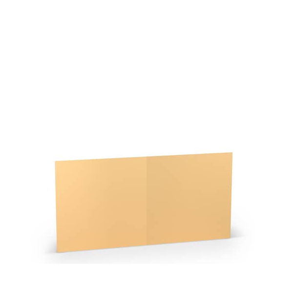25 Stück Rössler Blanko-Grußkarten 164075122 Hoch doppelt 157mm/314mm x 157mm (BxH) 220g planliegend melon 4014969344842 Rössler