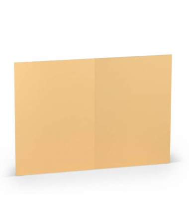 Blanko-Grußkarten 1103070122 A5 105mm x 148mm (BxH) 220g planliegend melon