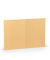 Blanko-Grußkarten 1103070122 A5 105mm x 148mm (BxH) 220g planliegend melon