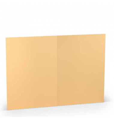 Blanko-Grußkarten 1103071122 A5 148mm x 210mm (BxH) 220g planliegend melon