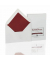 Designbriefumschlag Papier Royal 2031831170, C6, nassklebend, 100g, eisgrau