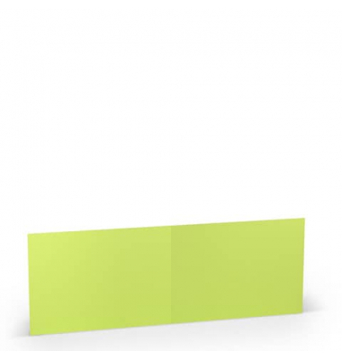 Blanko-Grußkarten 16407622 B6 doppelt lang 169mm x 120mm (BxH) 220g planliegend maigrün
