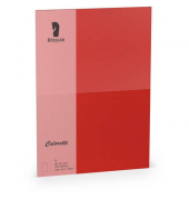 Blanko-Gru&szlig;karten 220772526 B6 24cm x 169mm (BxH) 225g planliegend klatschmohn