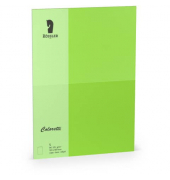 Blanko-Gru&szlig;karten 220772522 B6 24cm x 169mm (BxH) 225g planliegend hellgr&uuml;n