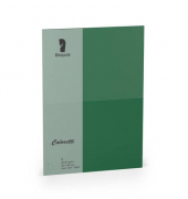 Blanko-Grußkarten 220770571 A5 105mm x 148mm (BxH) 225g planliegend forest