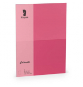 Blanko-Gru&szlig;karten 220772554 B6 24cm x 169mm (BxH) 225g planliegend pink