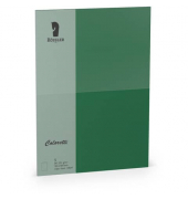 Blanko-Gru&szlig;karten 220772571 B6 24cm x 169mm (BxH) 225g planliegend forest