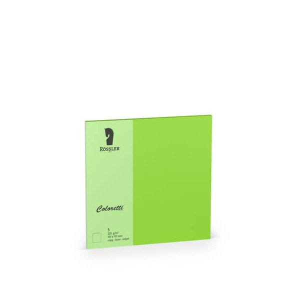 10 Stück Rössler Blanko-Grußkarten 220741522 157/314 157mm x 157mm (BxH) 225g hellgrün 4014969609958 Rössler 5 Stück