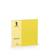 Blanko-Gru&szlig;karten 220741543 157/314 157mm x 157mm (BxH) 225g gold