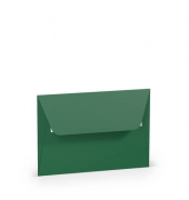 Designbriefumschlag 16409297, C6, haftklebend, 100g, tannengrün