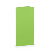 Blanko-Grußkarten 16400364 220g apple
