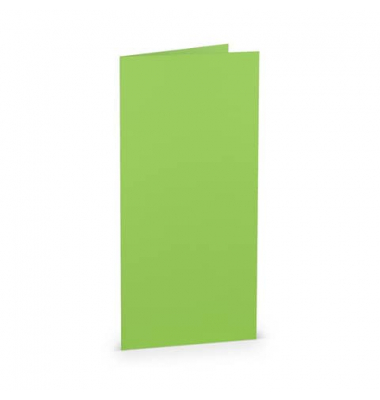 Blanko-Grußkarten 16400364 220g apple