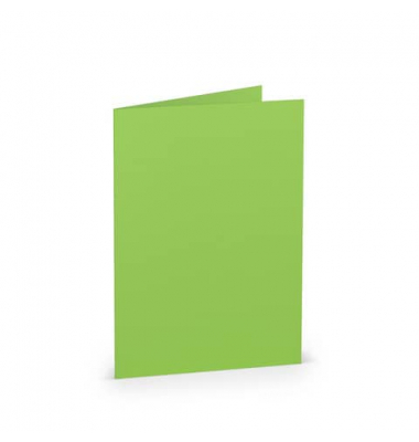 Blanko-Grußkarten 16400664 220g apple