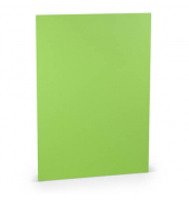 Blanko-Grußkarten 16401264 220g apple Karton