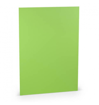Blanko-Grußkarten 16401264 220g apple Karton