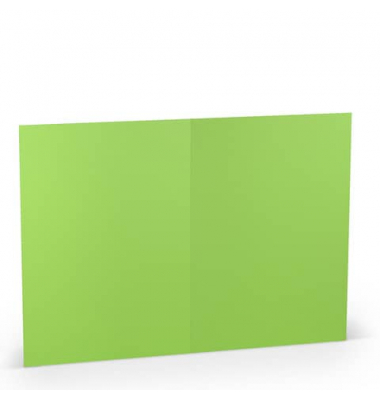 Blanko-Grußkarten 16407164 220g planliegend apple