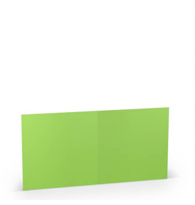 Blanko-Grußkarten 16407564 220g planliegend apple