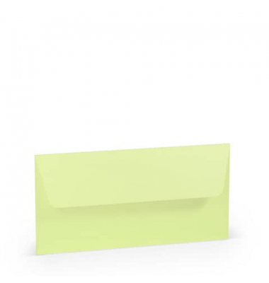 Briefumschlag 16400252 Din Lang ohne Fenster nassklebend 100g pistache