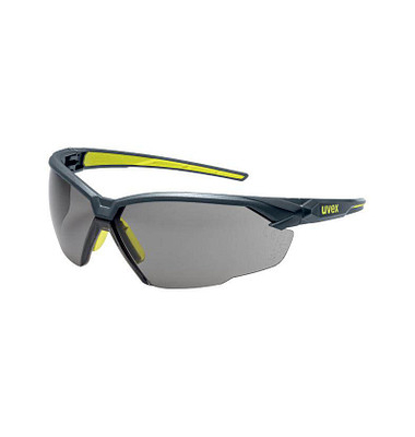 Schutzbrille suXXeed 9181 anthrazit