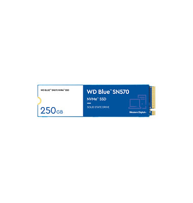 Blue SN570 250 GB interne SSD-Festplatte