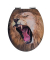 WC-Sitz mit Absenkautomatik Lion braun
