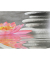 WC-Sitz mit Absenkautomatik Water Lily grau, rosa