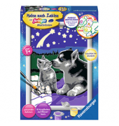Malen-nach-Zahlen Hund und Katze mehrfarbig