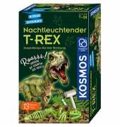 Ausgrabungsset T-REX mehrfarbig Ausgrabungsset